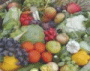 Ernährungstipps für Läuferinnen und Läufer